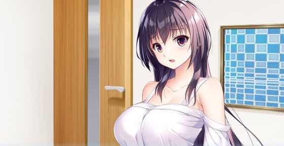 幸乃下萤的恋青日和:与义姐的秘密同居 v1.0 AI汉化版 ADV游戏+存档